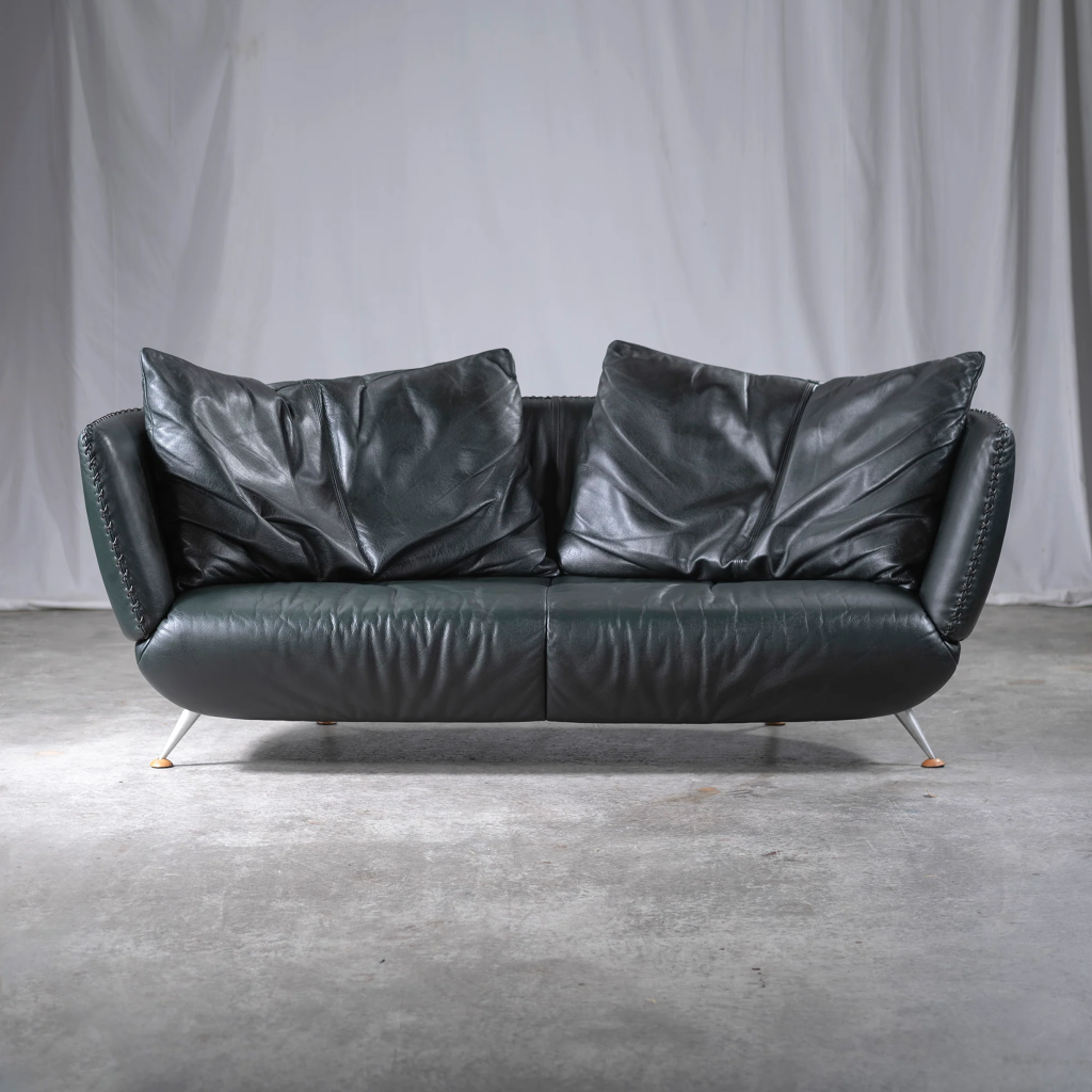 Canapé De Sede DS-102 en cuir premium